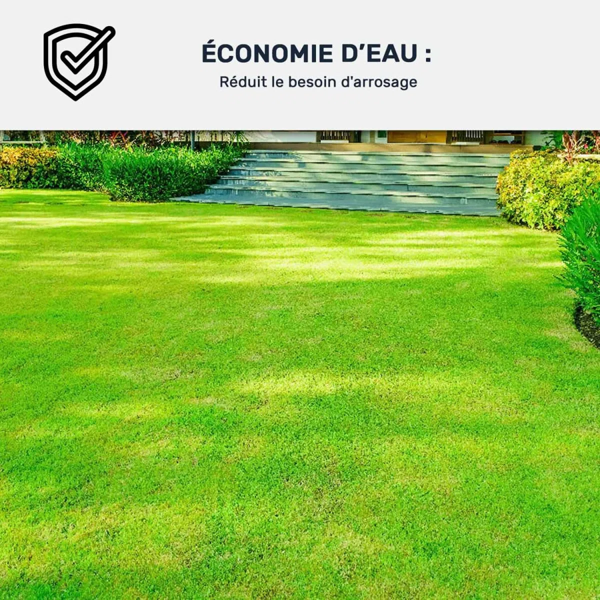 ARCANE INDUSTRIES Peinture Gazon, pelouse, végétation : ARCAGREEN - 1 L Vert