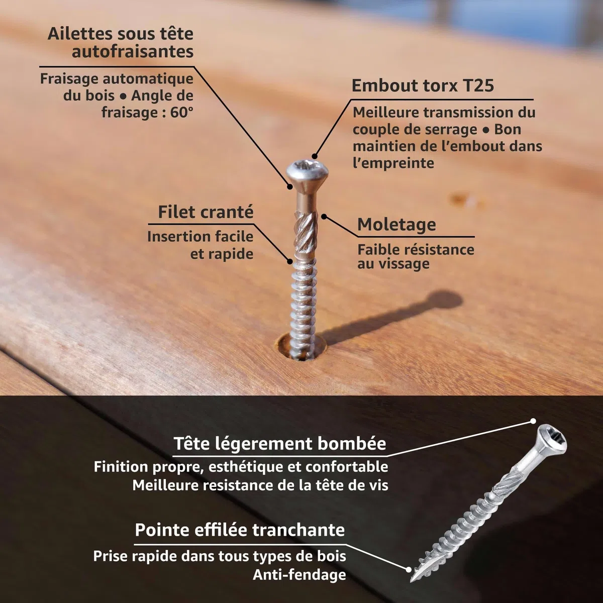 Lot de 600 vis terrasse en INOX A2 à tête fraisée réduite - Empreinte Torx 25 - Diamètre 5 mm - Longueur 50 mm